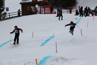 431164.jpeg 431164.jpeg