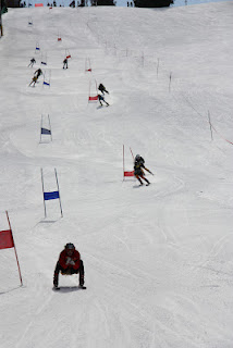 431219.jpeg 431219.jpeg