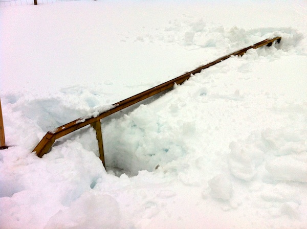 431261.jpeg 431261.jpeg