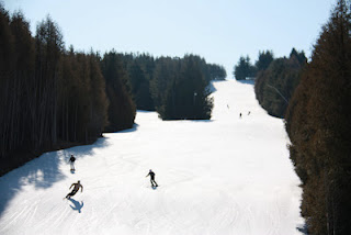 438924.jpeg 438924.jpeg