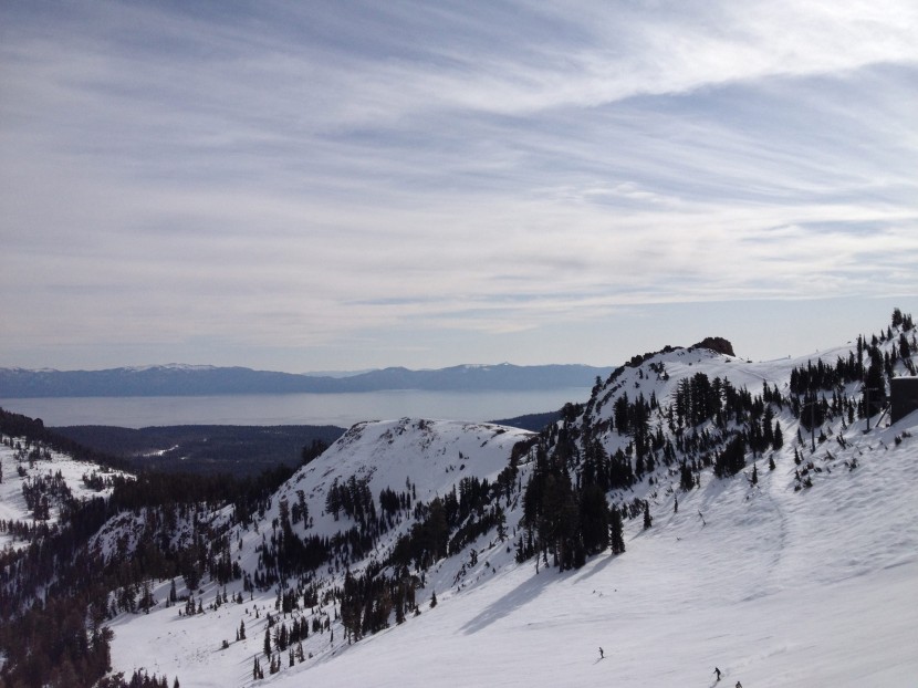 446073.jpeg 446073.jpeg