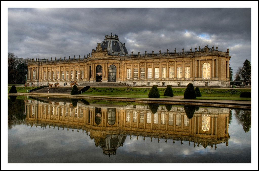 447642.jpeg 447642.jpeg