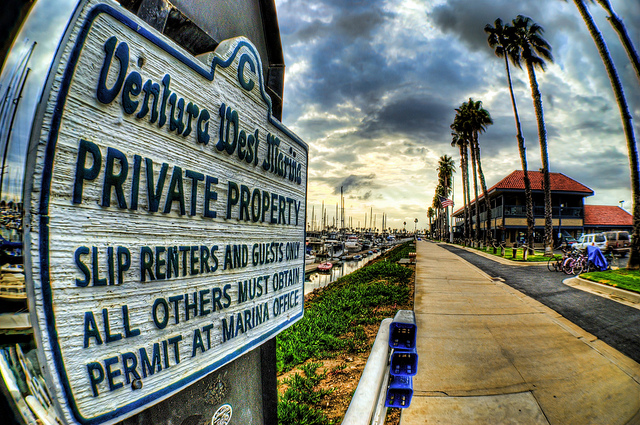 449011.jpeg 449011.jpeg