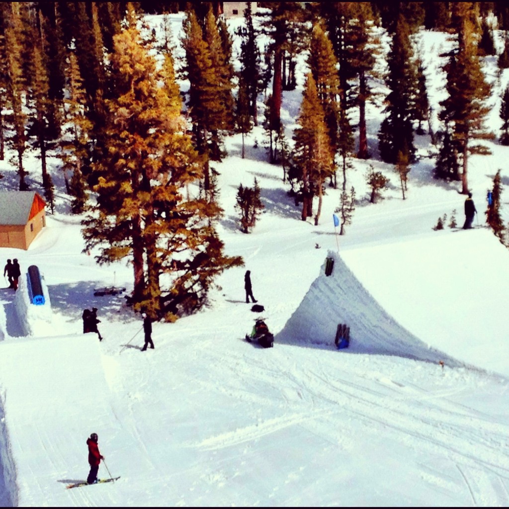 451933.jpeg 451933.jpeg