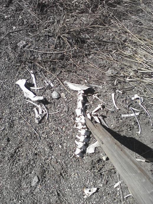 461156.jpeg 461156.jpeg