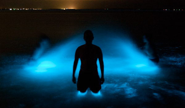 494267.jpeg 494267.jpeg