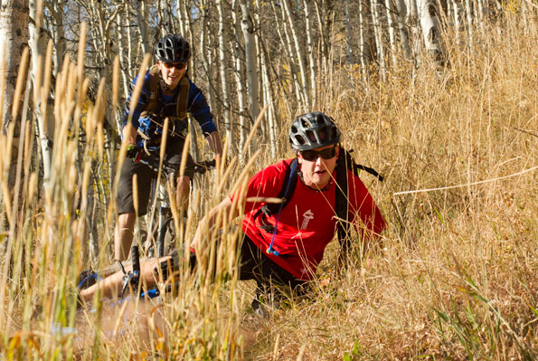 534783.jpeg 534783.jpeg