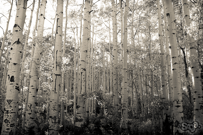 534927.jpeg 534927.jpeg