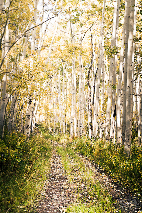 534928.jpeg 534928.jpeg