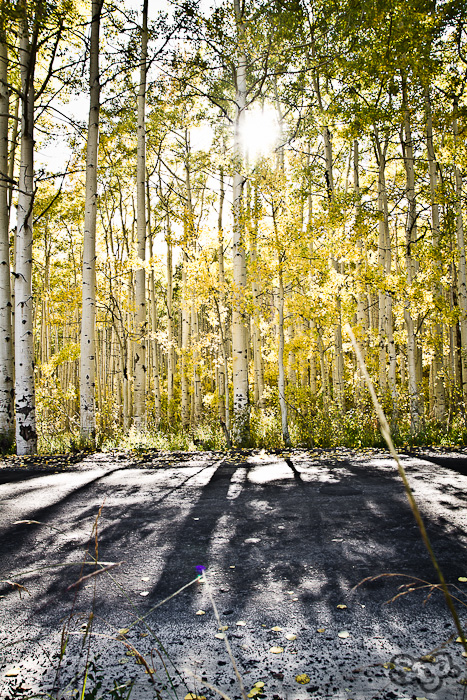 534931.jpeg 534931.jpeg