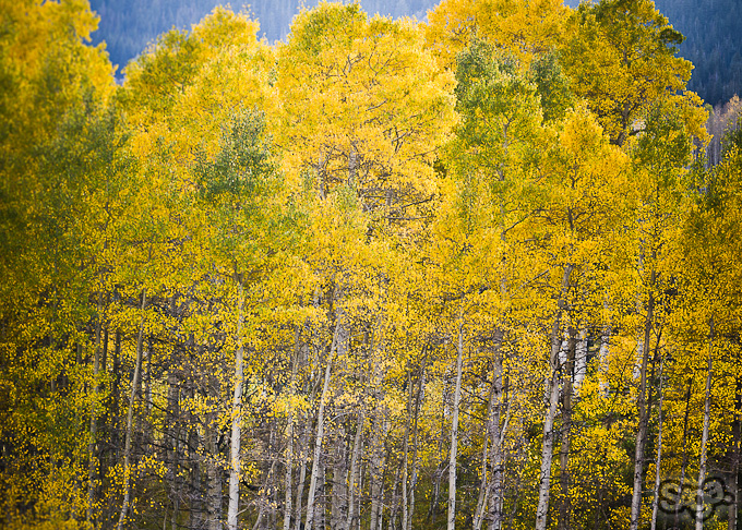 534932.jpeg 534932.jpeg