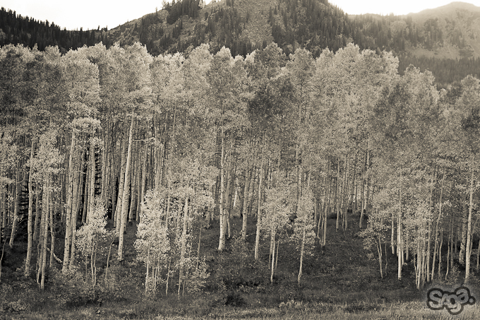 534933.jpeg 534933.jpeg