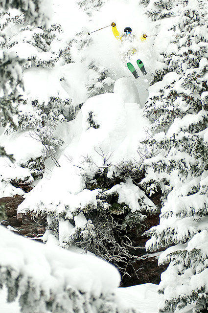 535271.jpeg 535271.jpeg