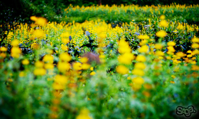 535715.jpeg 535715.jpeg