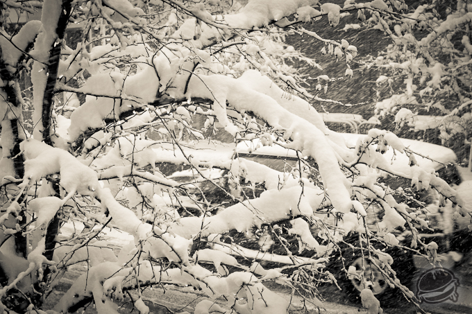 535881.jpeg 535881.jpeg