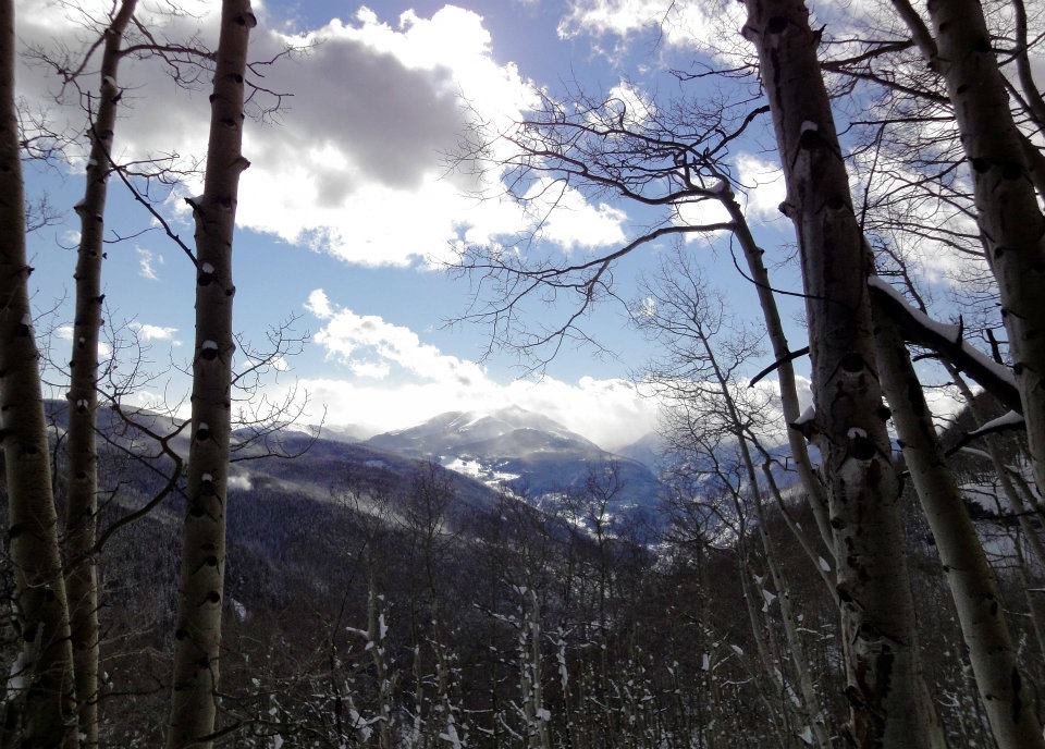 535904.jpeg 535904.jpeg