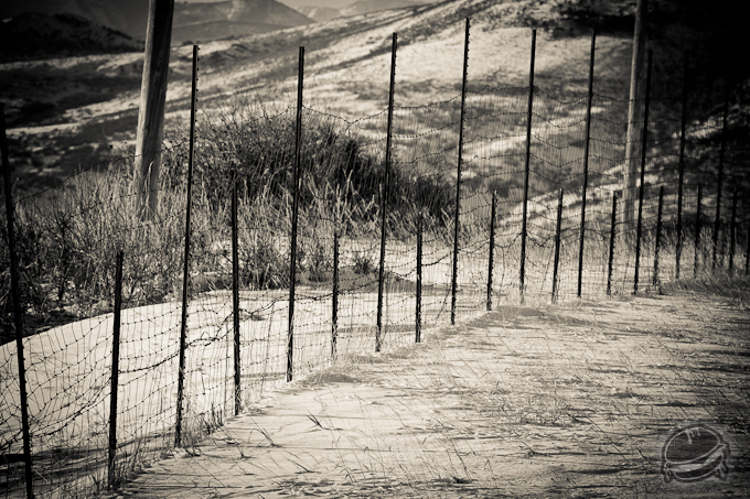 535939.jpeg 535939.jpeg