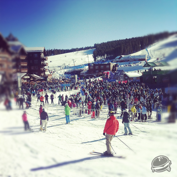 536049.jpeg 536049.jpeg