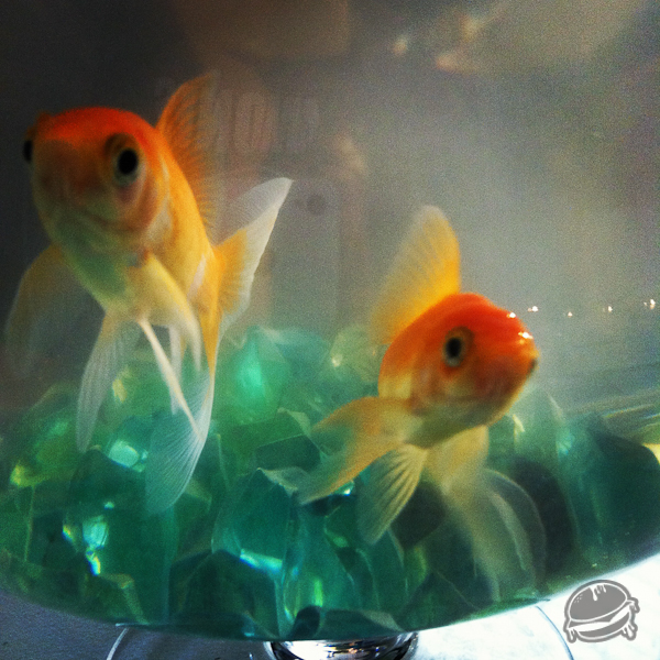 536057.jpeg 536057.jpeg