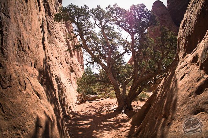 536426.jpeg 536426.jpeg