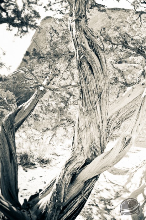 536427.jpeg 536427.jpeg