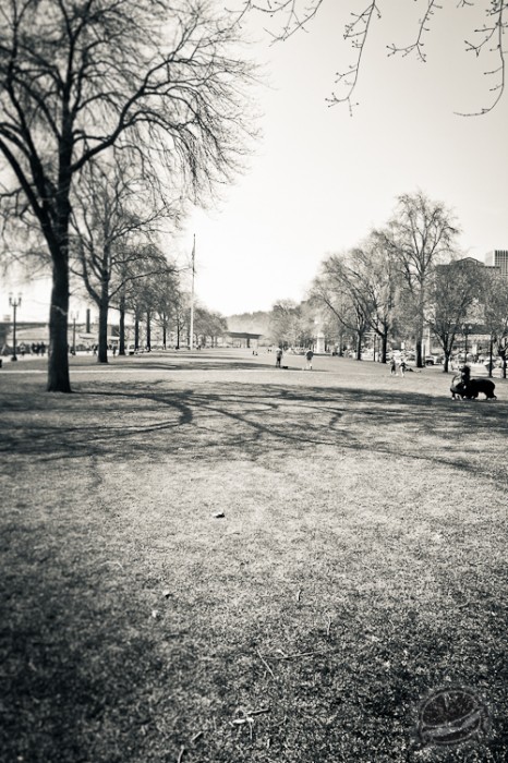 536873.jpeg 536873.jpeg