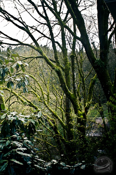 536874.jpeg 536874.jpeg