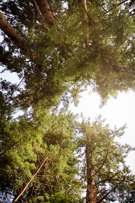 536876.jpeg 536876.jpeg