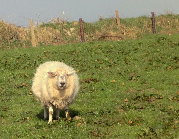 536956.jpeg 536956.jpeg