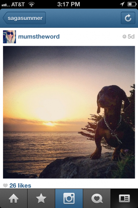 537632.png 537632.png