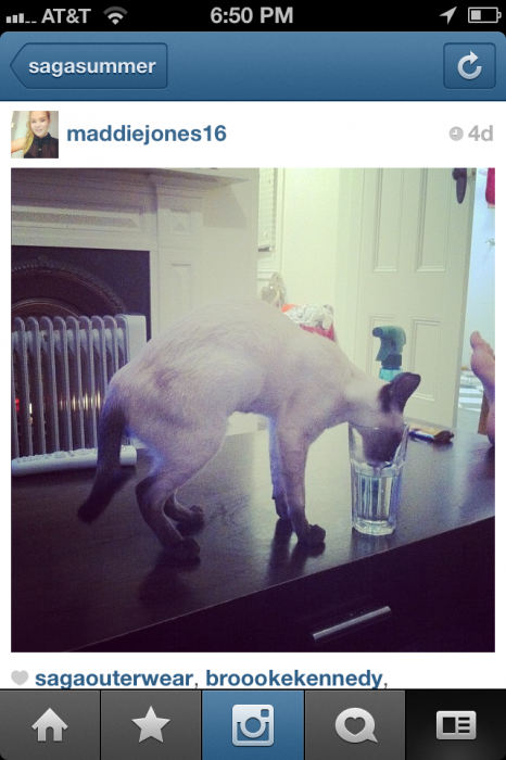 537639.png 537639.png