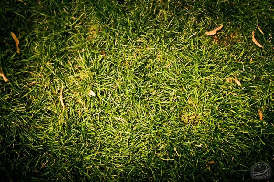 537999.jpeg 537999.jpeg