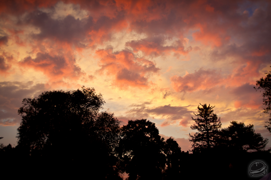 538002.jpeg 538002.jpeg