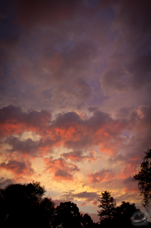 538003.jpeg 538003.jpeg