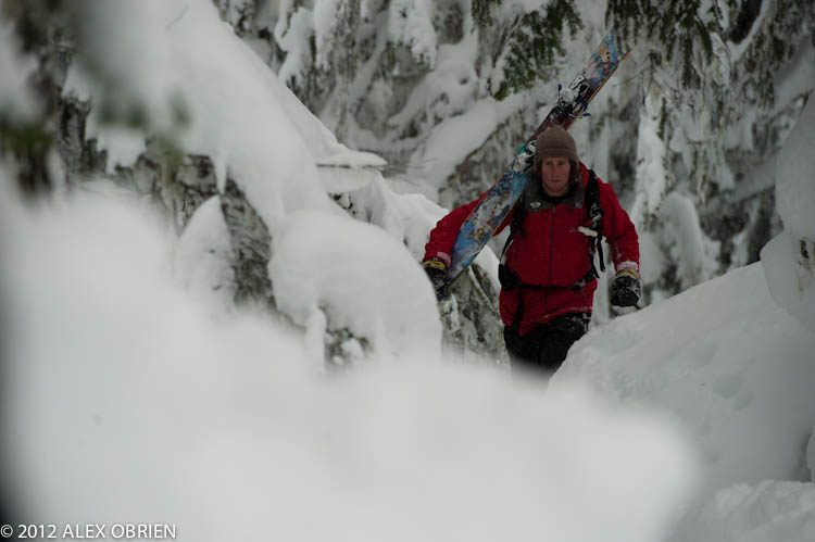 587663.jpeg 587663.jpeg