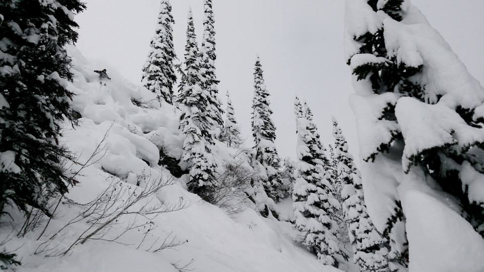 681594.jpeg 681594.jpeg