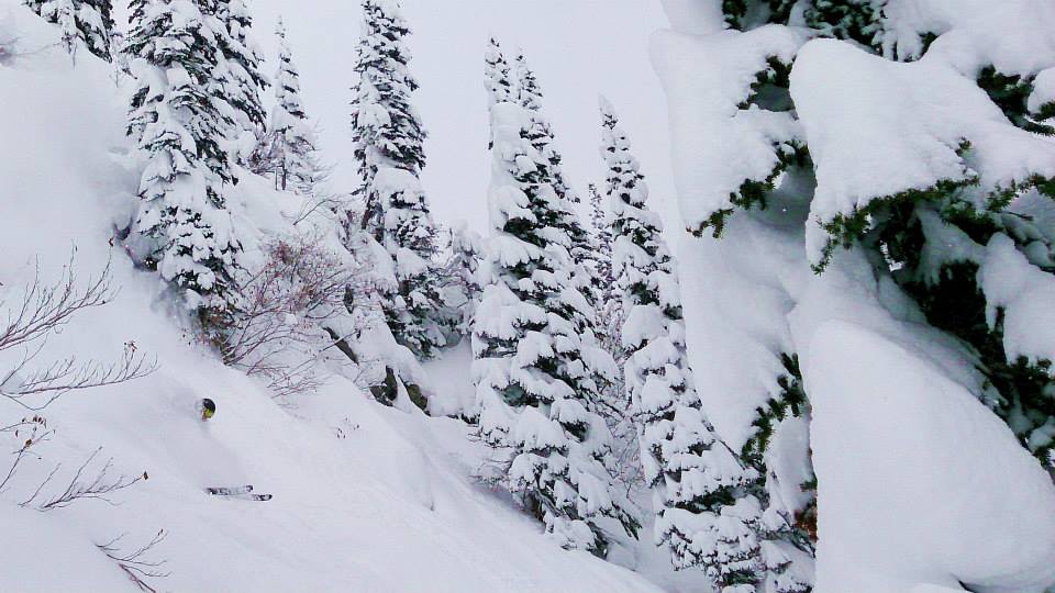 681595.jpeg 681595.jpeg