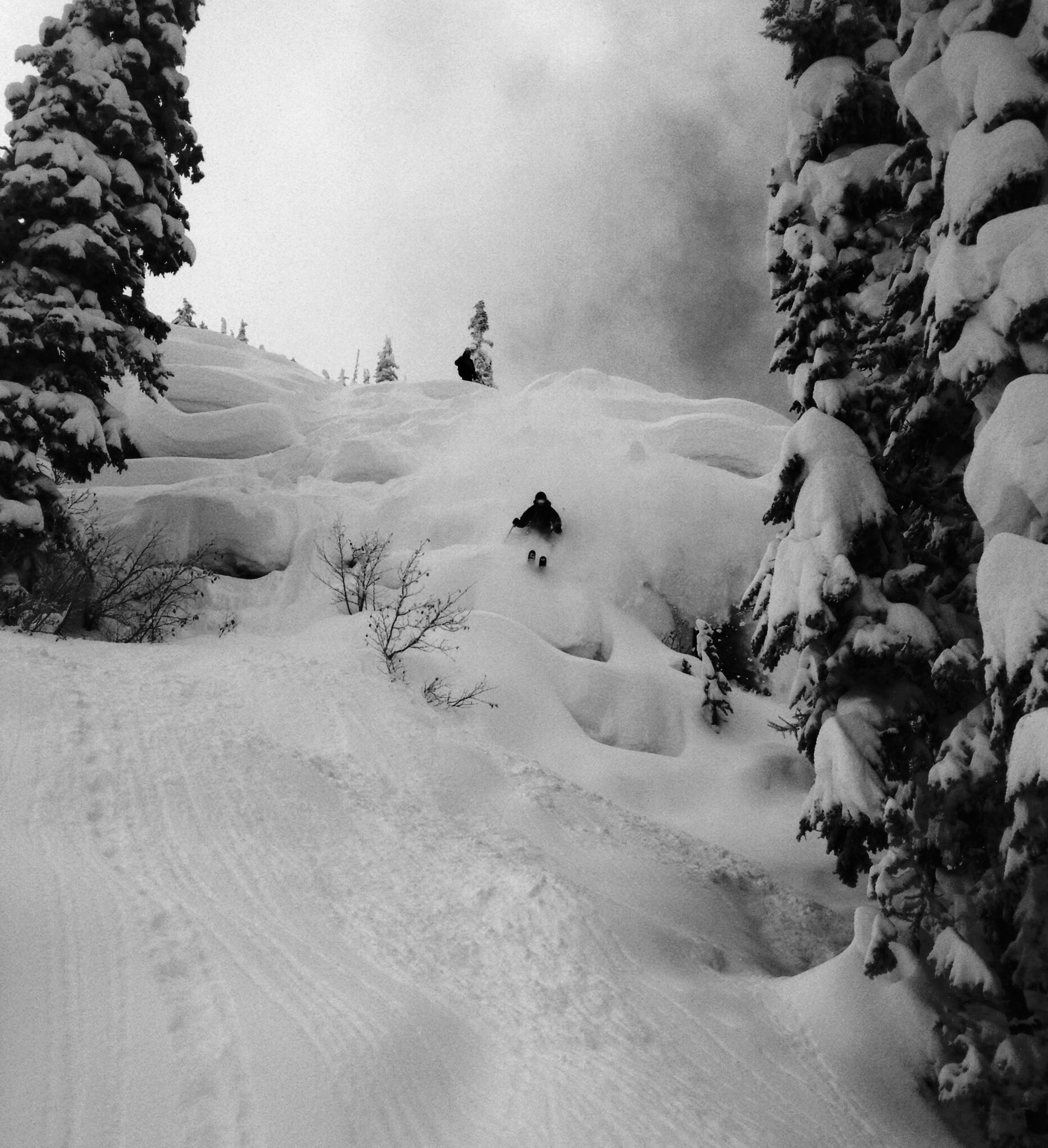 683226.jpeg 683226.jpeg