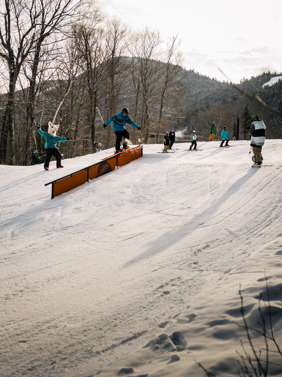 686159.jpeg 686159.jpeg