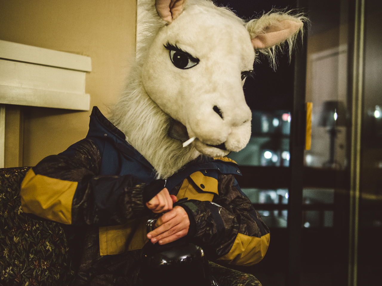 686161.jpeg 686161.jpeg