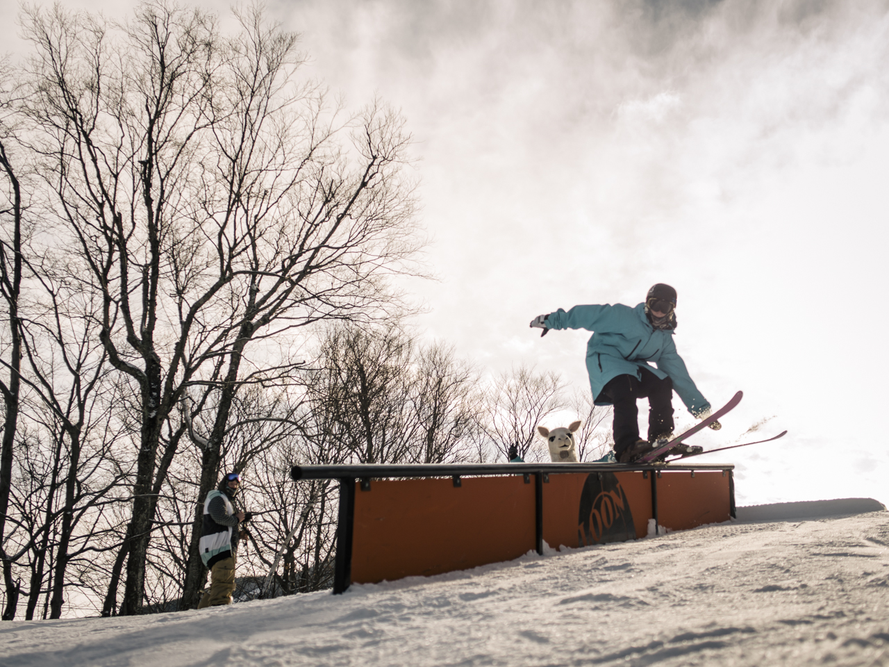 686163.jpeg 686163.jpeg