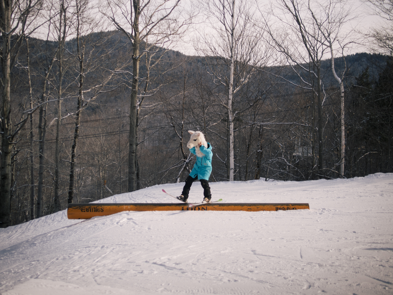 686164.jpeg 686164.jpeg