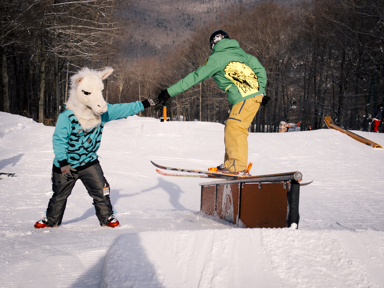 686170.jpeg 686170.jpeg