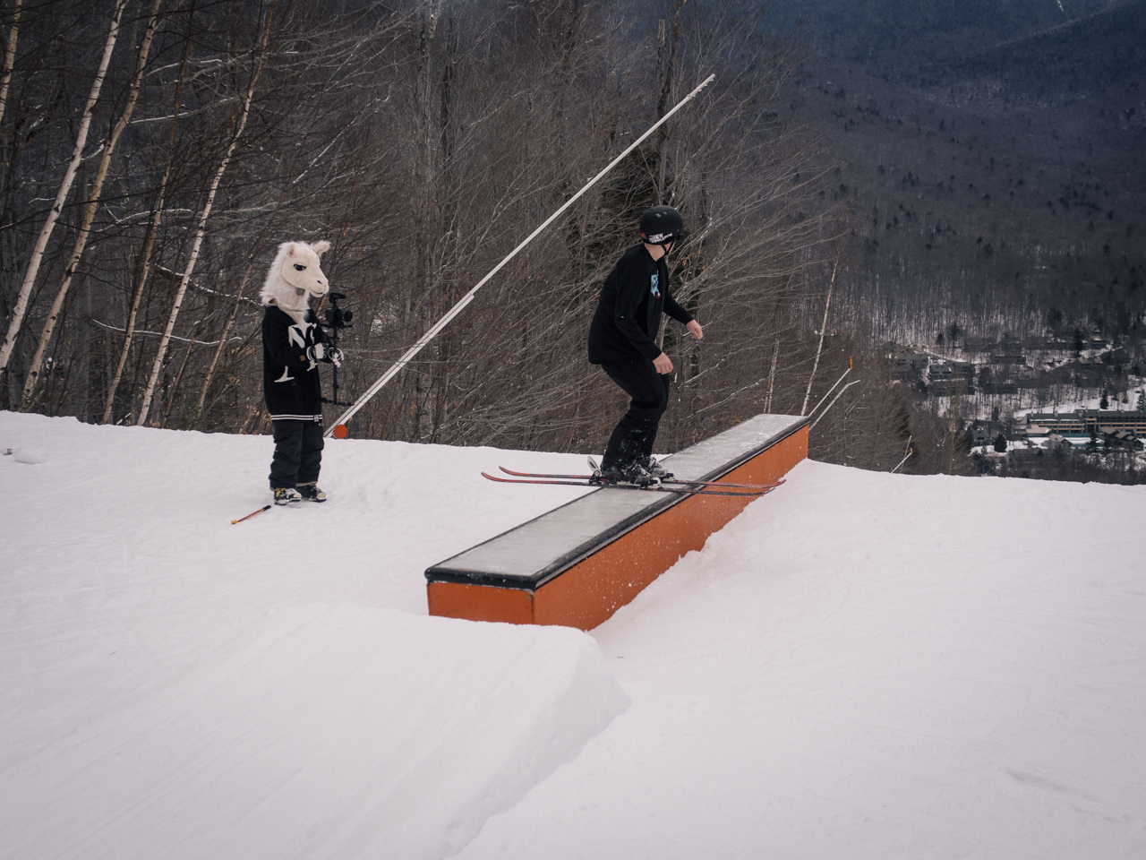 686173.jpeg 686173.jpeg