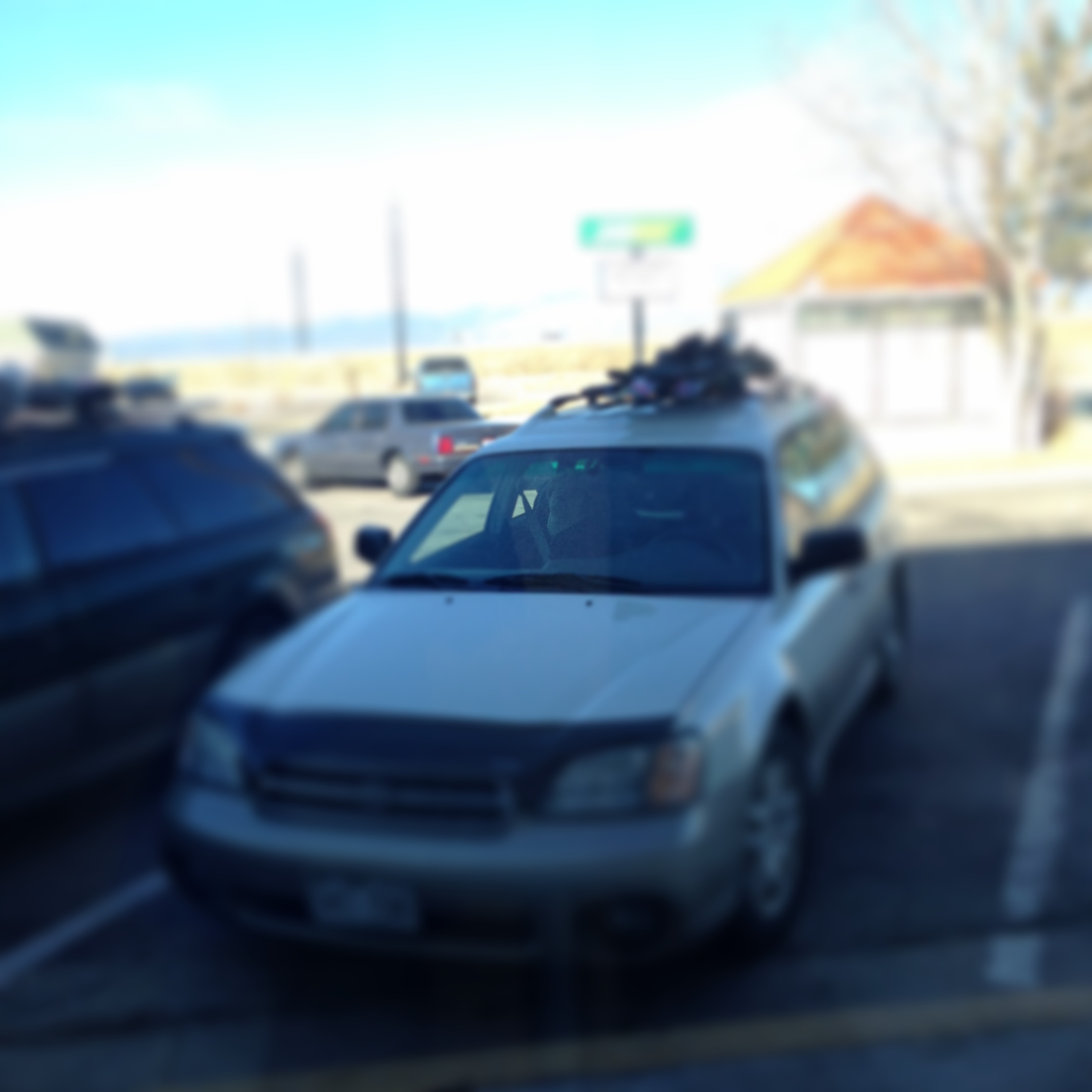 701091.jpeg