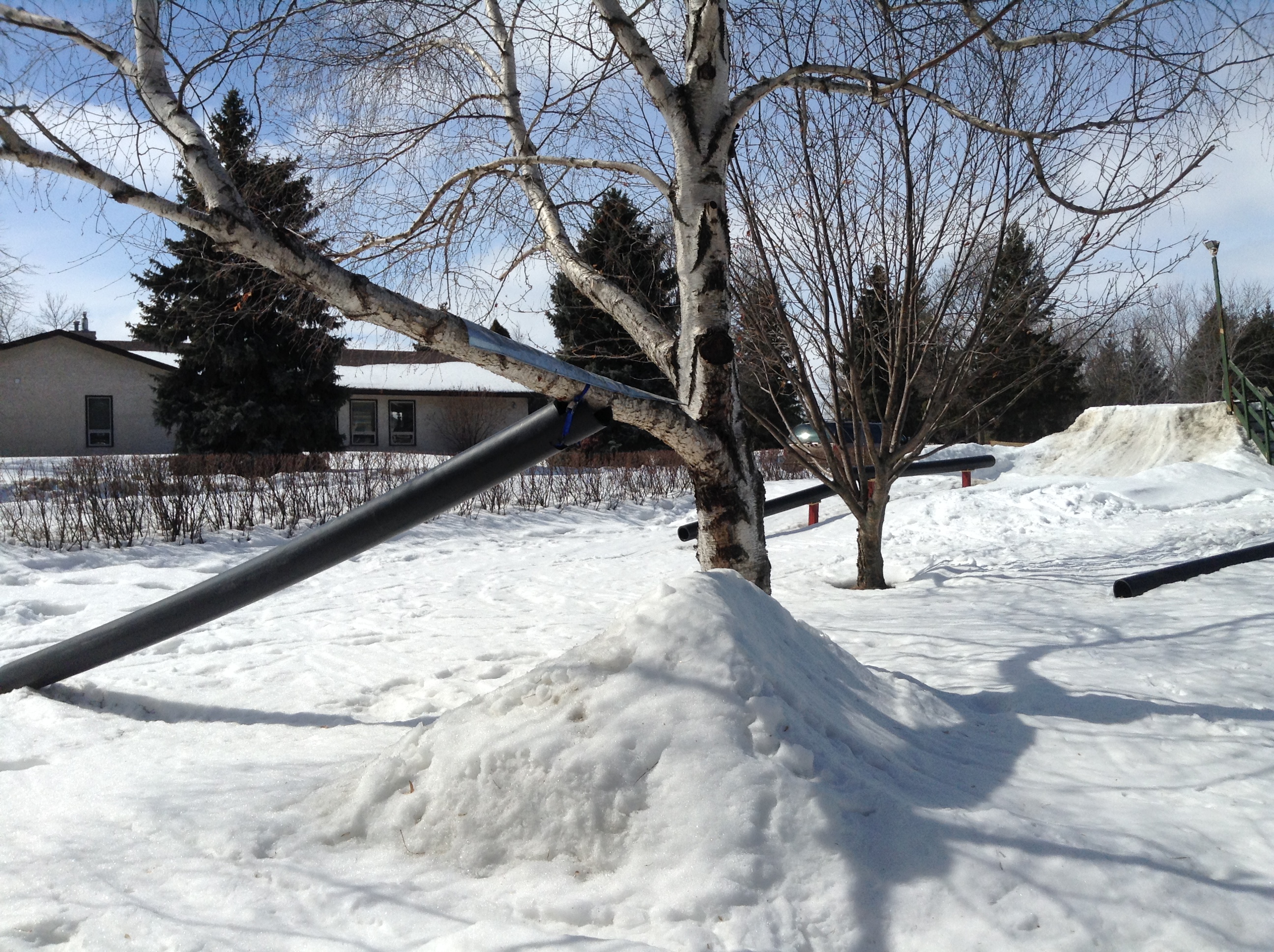 703609.jpeg 703609.jpeg