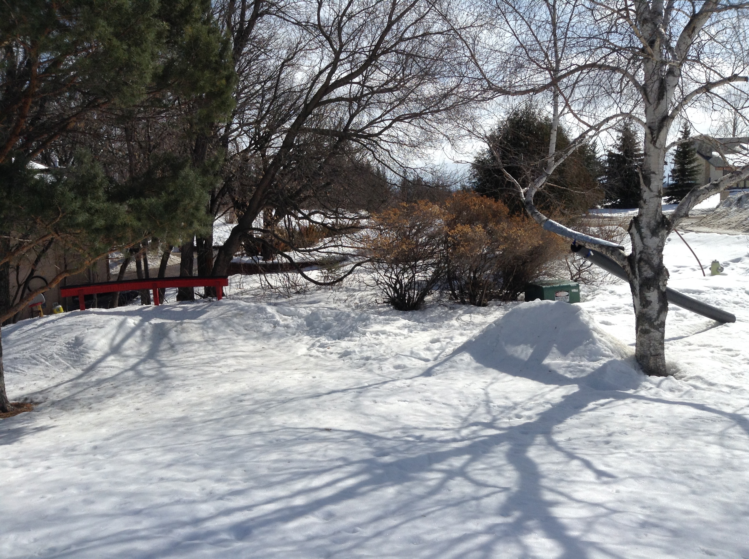 703610.jpeg 703610.jpeg