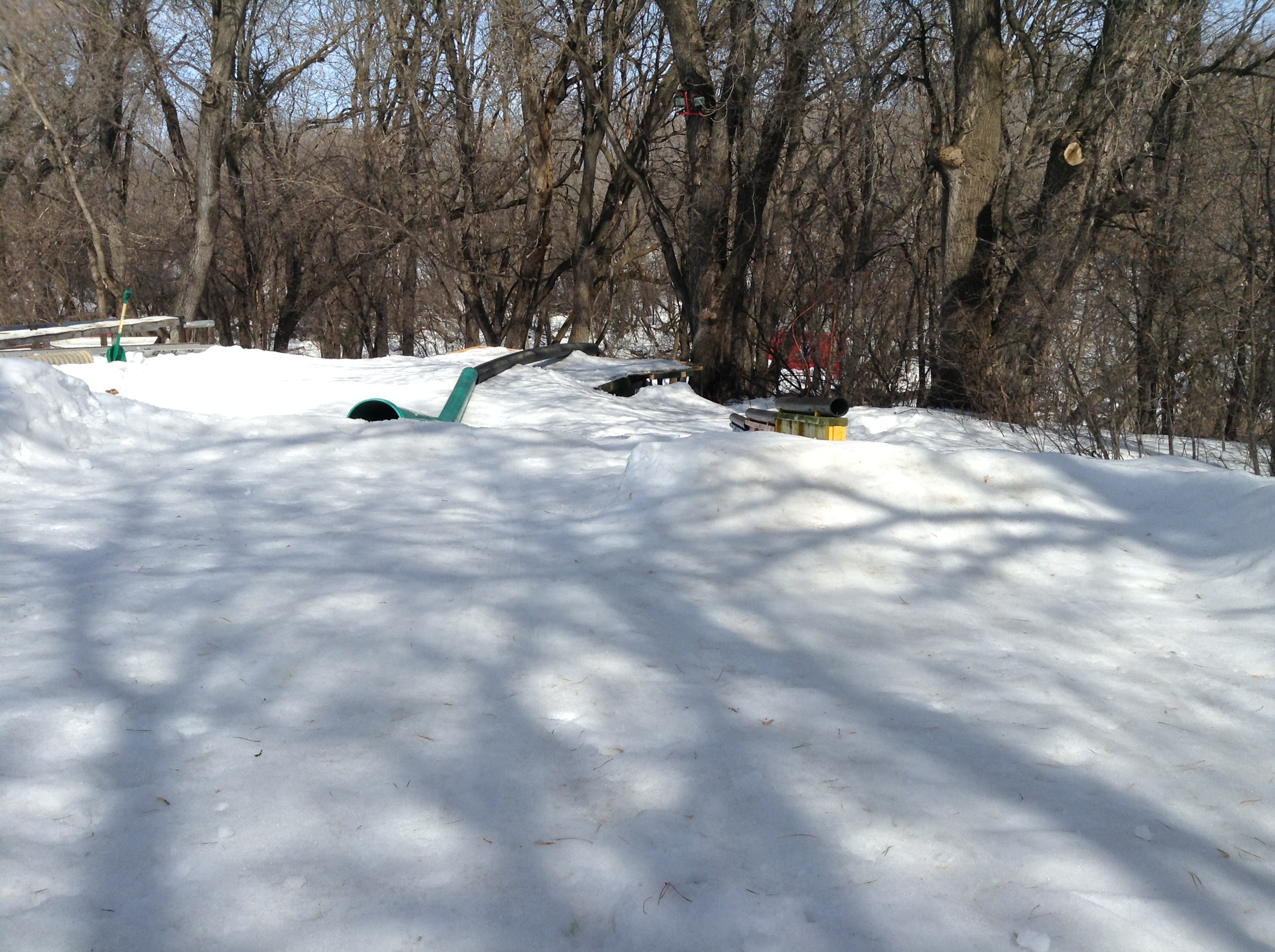 703611.jpeg 703611.jpeg