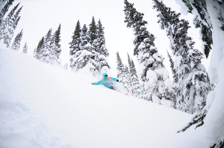 708406.jpeg 708406.jpeg