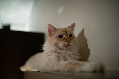 739495.jpeg 739495.jpeg